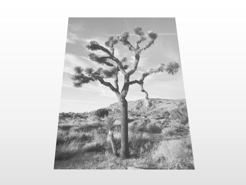 Joshua Tree Print Black and White Photography Joshua Tree Etsy