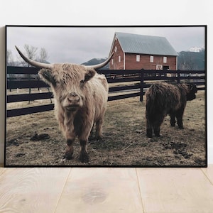 Red Barn Highland Cattle Print: Farmhouse Photo (Digital Download)