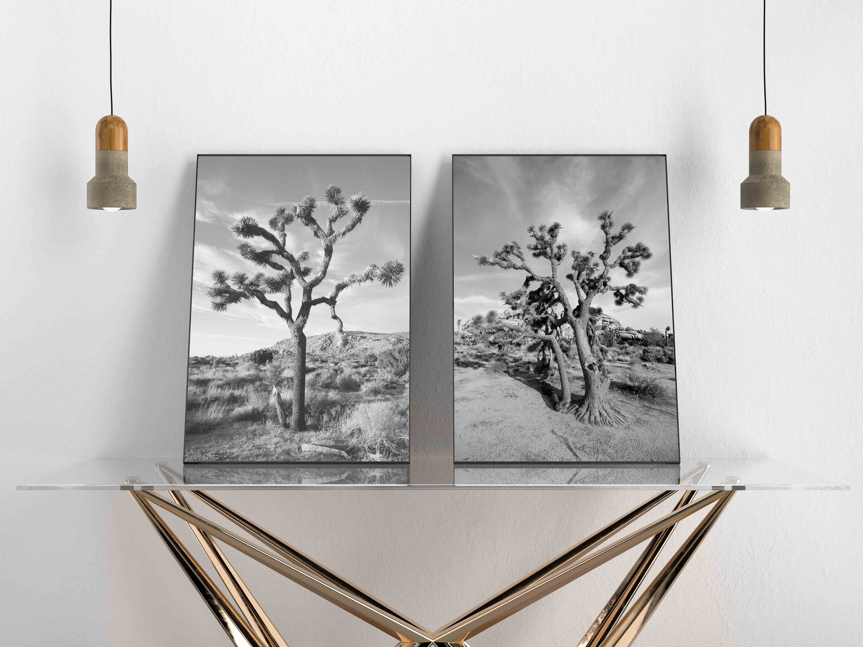 Joshua Tree Black and White Joshua Tree Joshua Tree Wall Etsy