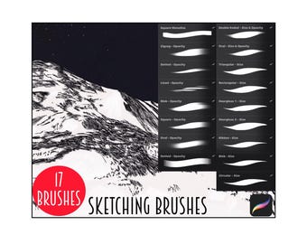 Pennelli Procreate | 17 Pennelli per inchiostrazione per calligrafia, lettering e schizzi