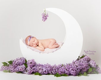 Digital Download Newborn Digital Backdrop , Barn Floor Reclaimed Wood Swing on Warm Wood Backdrop Newborn digital backdrop,