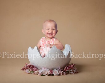 Cracked Egg Prop Etsy