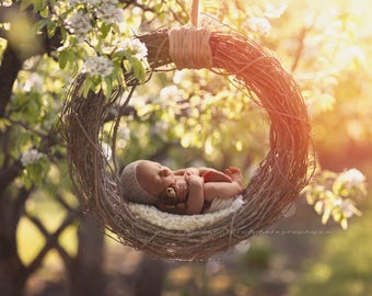 Digital Download Newborn Digital Backdrop , Barn Floor Reclaimed Wood Swing on Warm Wood Backdrop Newborn digital backdrop,