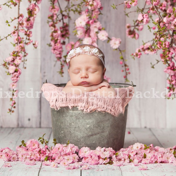 Spring Newborn backdrop and newborn digital backdrop,Spring Newborn Prop, Digital Backdrops/Props ,cherry blossoms, pewter bucket