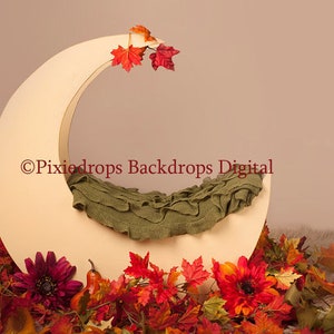 Newborn Moon Prop, Digital Backdrop, Newborn Digital Prop