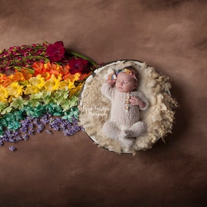 Rainbow baby newborn digital backdrop, Digital Backdrops/Props (Rainbow Baby Newborn Prop Digital Download) floral rainbow on brown texture
