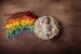 Rainbow baby newborn digital backdrop, Digital Backdrops/Props (Rainbow Baby Newborn Prop Digital Download) floral rainbow on brown texture 