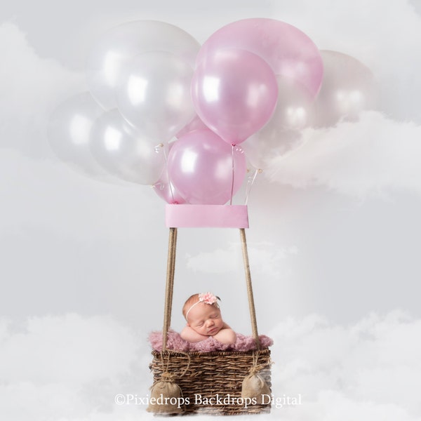 Newborn digital backdrop, Digital Backdrops/Props (Newborn Hot Air Balloon Prop with Pink Fur) Digital Download