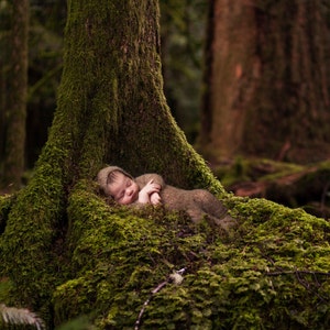 Digital Backdrop/Prop (Moss Covered Tree Hollow in Old World Forest)
