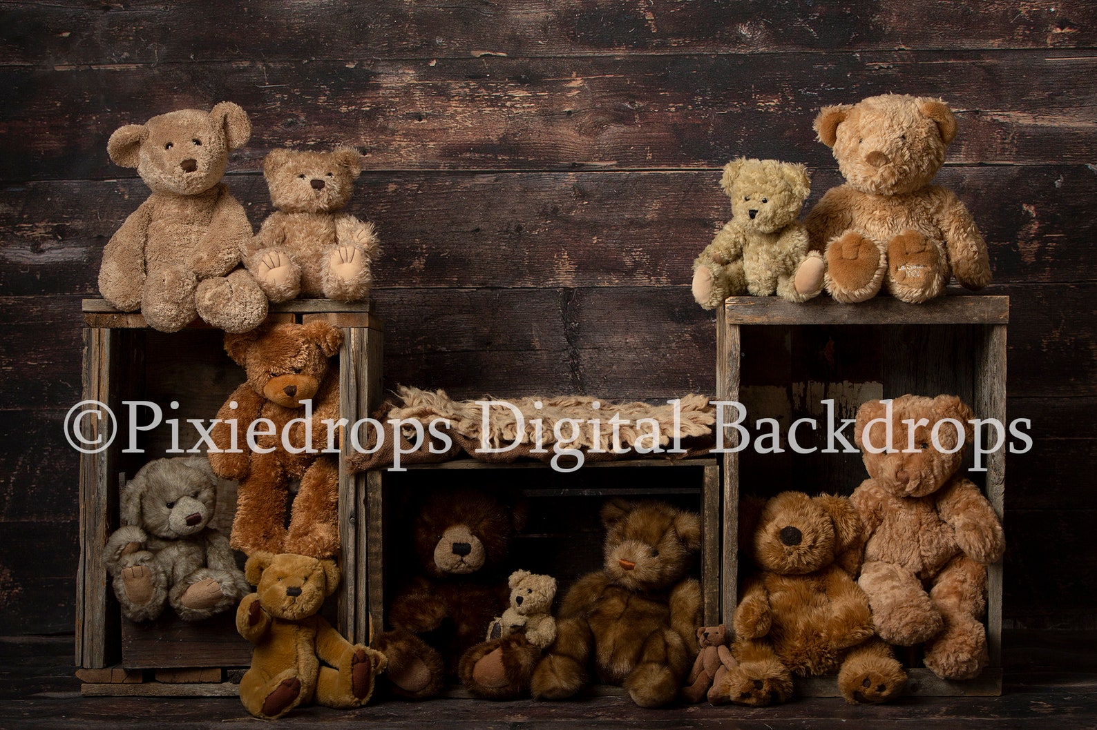 Teddy Bear Prop, Bear Newborn Digital, Teddy Bear Digital Backdrop ...