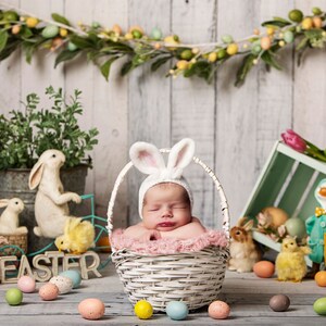 Easter newborn digital backdrop, easter backdrop, newborn easter backdrop, easter digital prop, easter newborn digital,  Easter newborn.