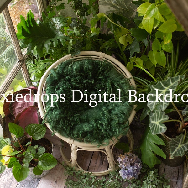 Newborn greenhouse digital Digital Download, Summer digital Prop, Spring Newborn Prop, Digital Backdrops/Props ,greenhouse prop,  Top view