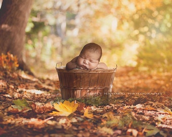 Digital Backdrops, Newborn Digital Prop Apple Basket on Fall Leaves Path,  Digital Download, Two Files.