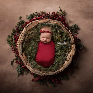 Christmas digital backdrop, newborn christmas digital backdrop, newborn prop, Christmas Digital Download