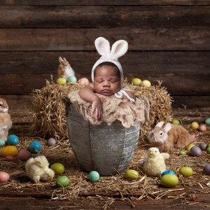 Easter newborn digital backdrop, easter backdrop, newborn easter backdrop, easter digital prop, easter newborn digital,  Easter newborn.