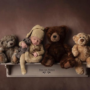 Newborn Digital backdrop, Bear Digital Backdrop, Teddy bear backdrop, newborn digital download, Shelf digital, newborn digital