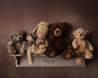 Newborn Digital backdrop, Bear Digital Backdrop, Teddy bear backdrop, newborn digital download, Shelf digital, newborn digital