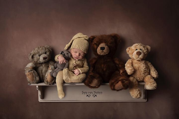 Newborn Digital backdrop, Bear Digital Backdrop, Teddy bear backdrop,…