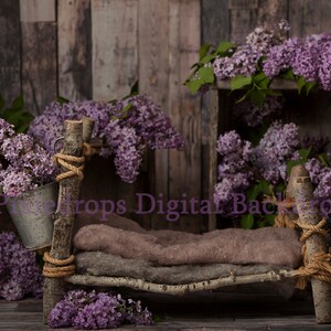 Boho Spring Digital Download, Spring Prop, Spring Newborn Prop, Digital ...