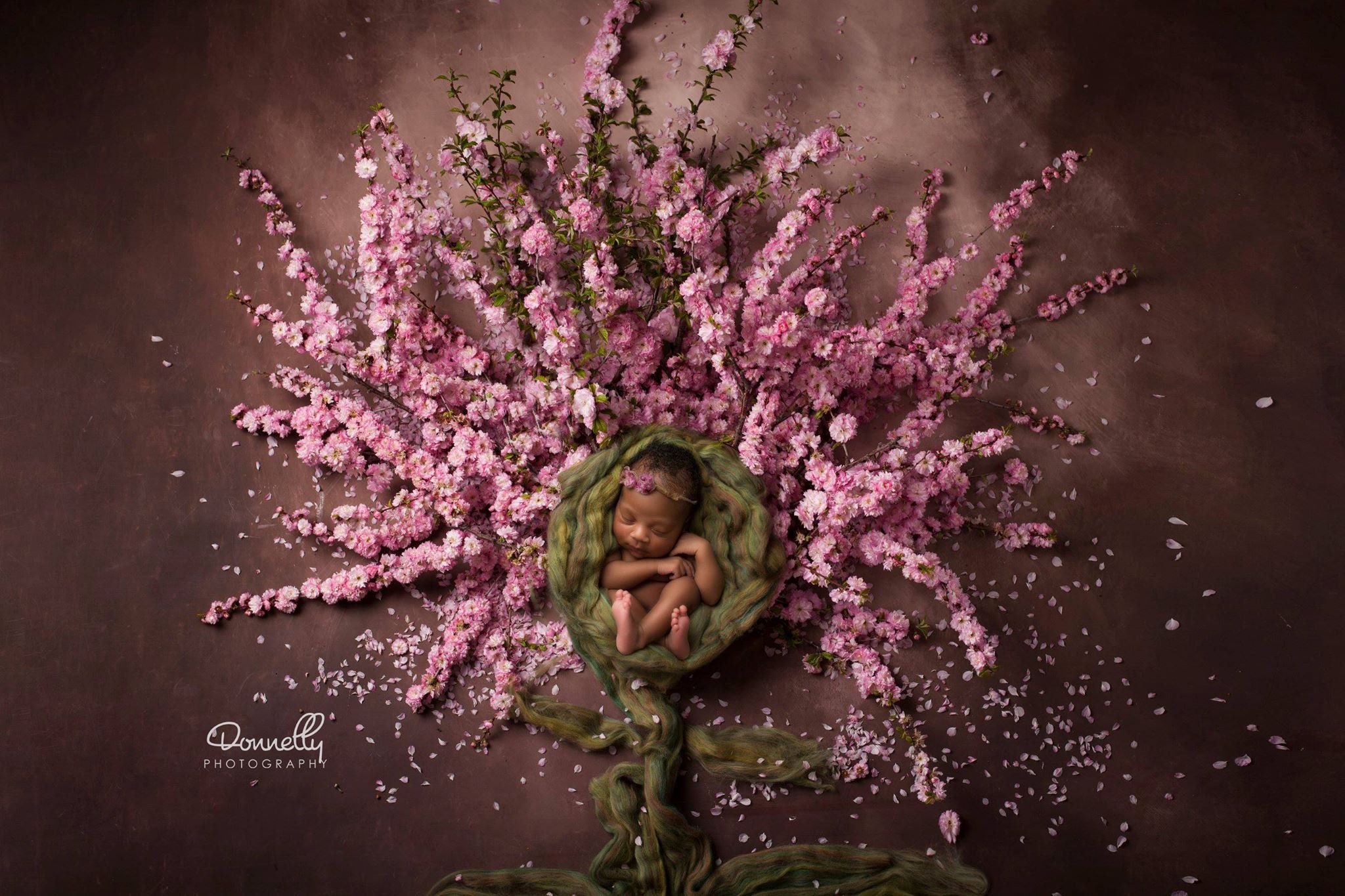 Spring Digital Download Spring Prop Spring Newborn Prop | Etsy