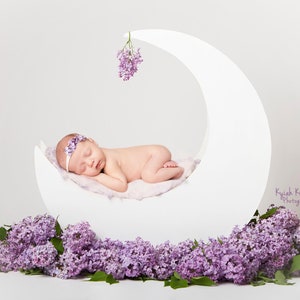 Newborn Moon Prop, Newborn Digital Backdrop, Newborn Digital Prop, lilacs blossoms and white backdrop