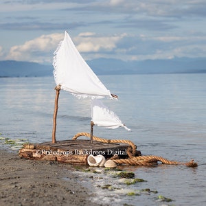 Digital Backdrops/Props (Reclaimed Wood Raft Washed Up on a Beach on a Blue Sky With Fluffy Clouds) 2 files in this download
