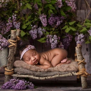 Lilac Digital Download, Lilac floral Prop, Lilac Newborn digital, Purple Lilac Digital Backdrop, Purple Lilac digital download, Newborn