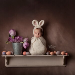 Easter Newborn Digital Backdrop, Newborn Easter Prop, Digital Backdrops/Props, Easter bunny insert textured brown backdrop