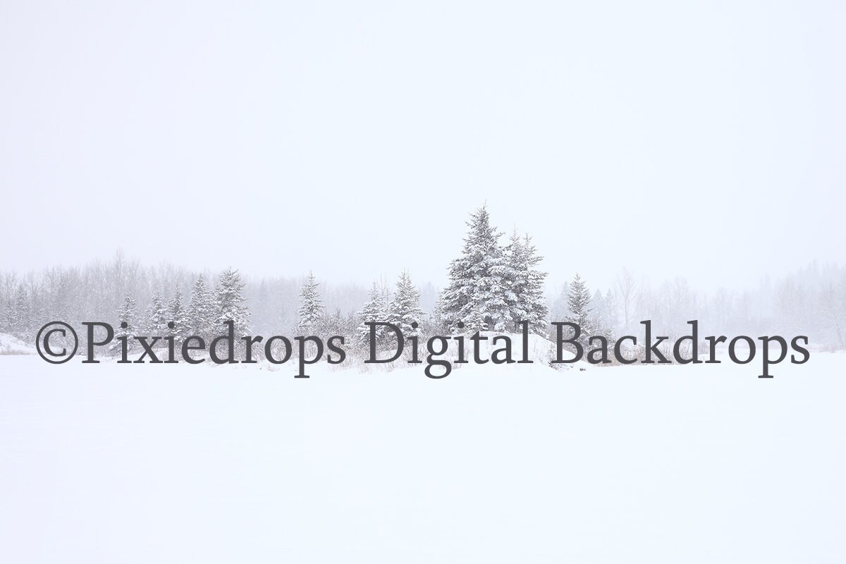 Snowy trees digital backdrop Digital Backdrops and Props. Etsy