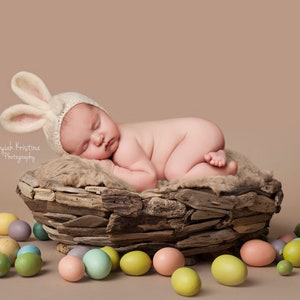 Easter digital Prop, Easter digital backdrop, Digital Backdrops/Props, Easter Egg backdrop, Easter newborn backdrop, newborn easter prop
