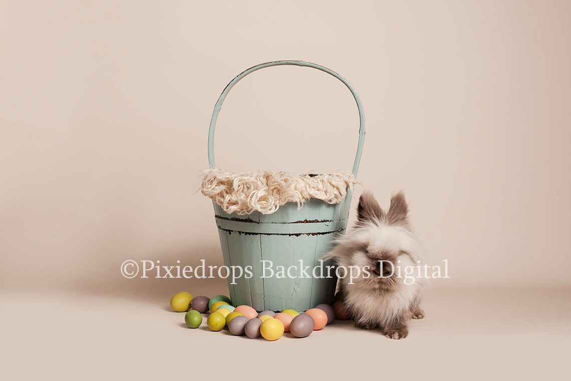 Easter Prop Digital Backdrops/props Easter Egg Backdrop - Etsy