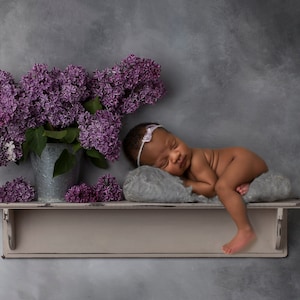 Lilac digital backdrop, Digital backdrop, Spring digital, Newborn Shelf Digital, Liliacs design on textured grey, Digital download 2 FILES