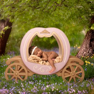 Newborn carriage digital backdrop, princess digital backdrop, carriage digital prop, newborn princess digital, newborn blue bell backdrop.