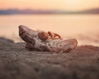 Digital Backdrops/Props (Newborn Photography Prop, Beach Driftwood at Sunset Newborn Prop) Digital Download 2 FILES
