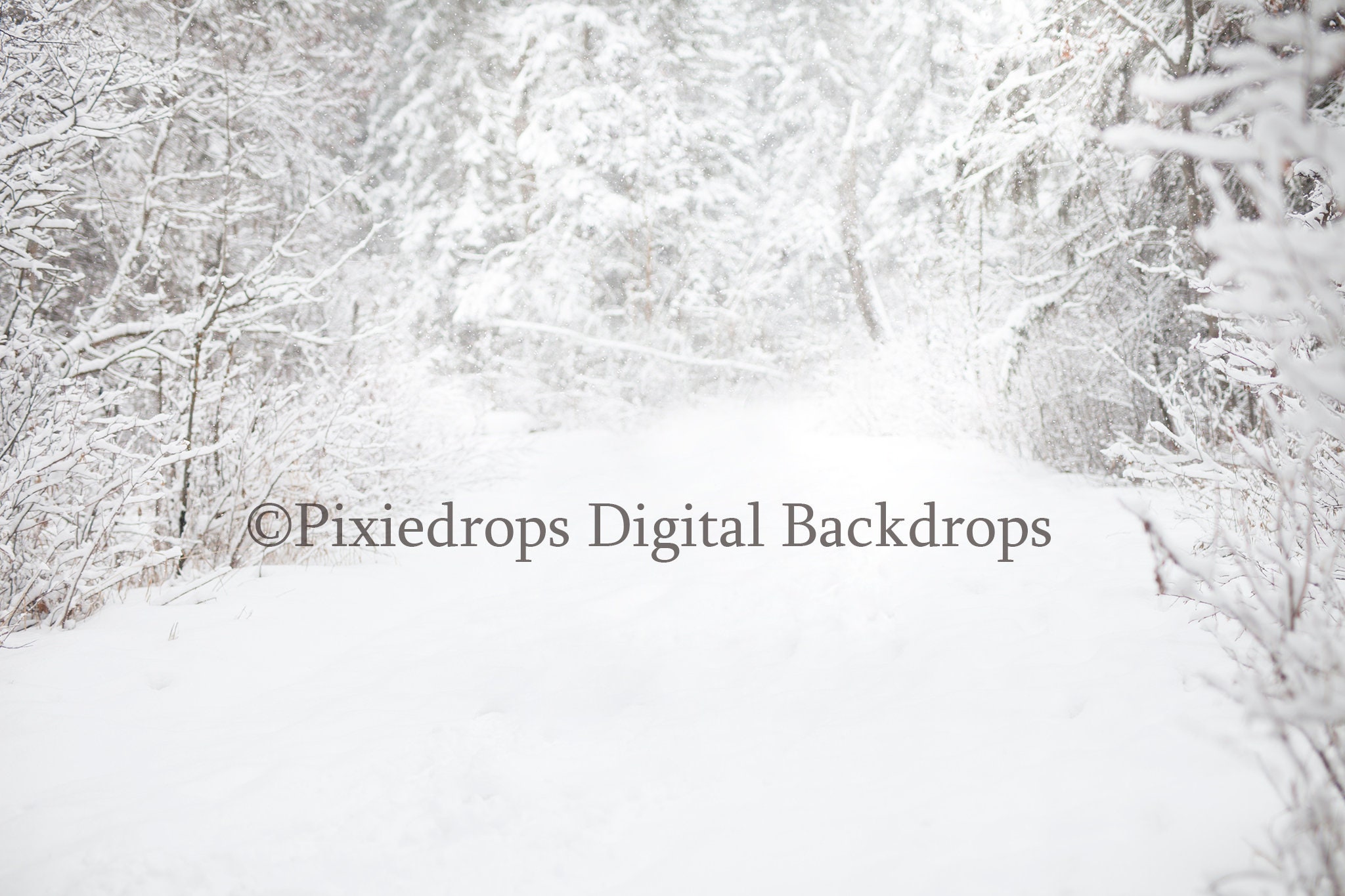 Snowy trees digital backdrop Digital Backdrops and Props. Etsy