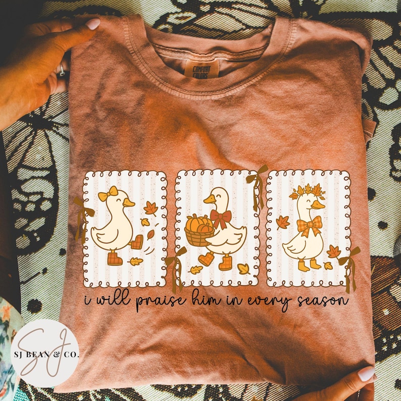 May include: Rust-colored t-shirt featuring three framed illustrations of ducks in autumn attire. Each duck has a bow and is surrounded by leaves and pumpkins. The text "i will praise him in every season" is printed below the illustrations.