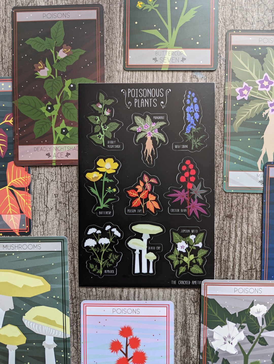 Poisonous Plants Vinyl Sticker Sheet Etsy