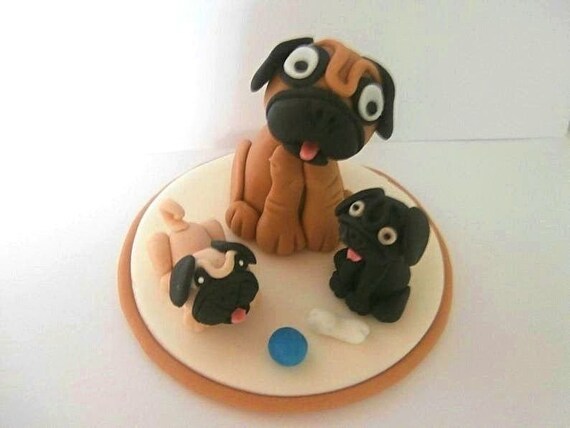 puppy's birthday