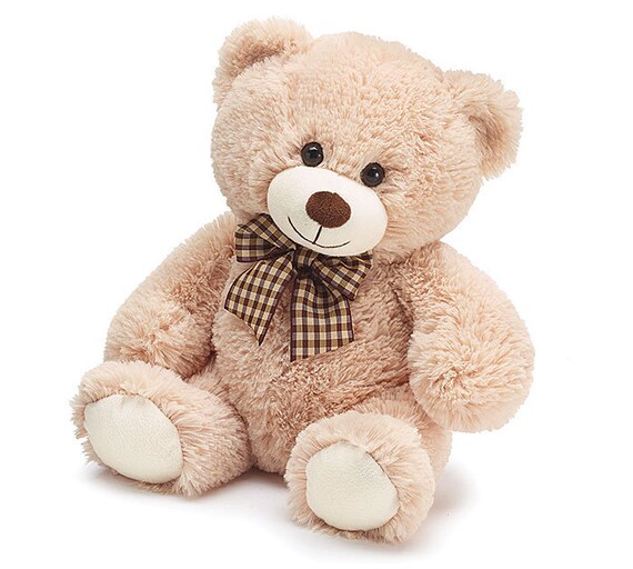 custom teddy bear tshirt