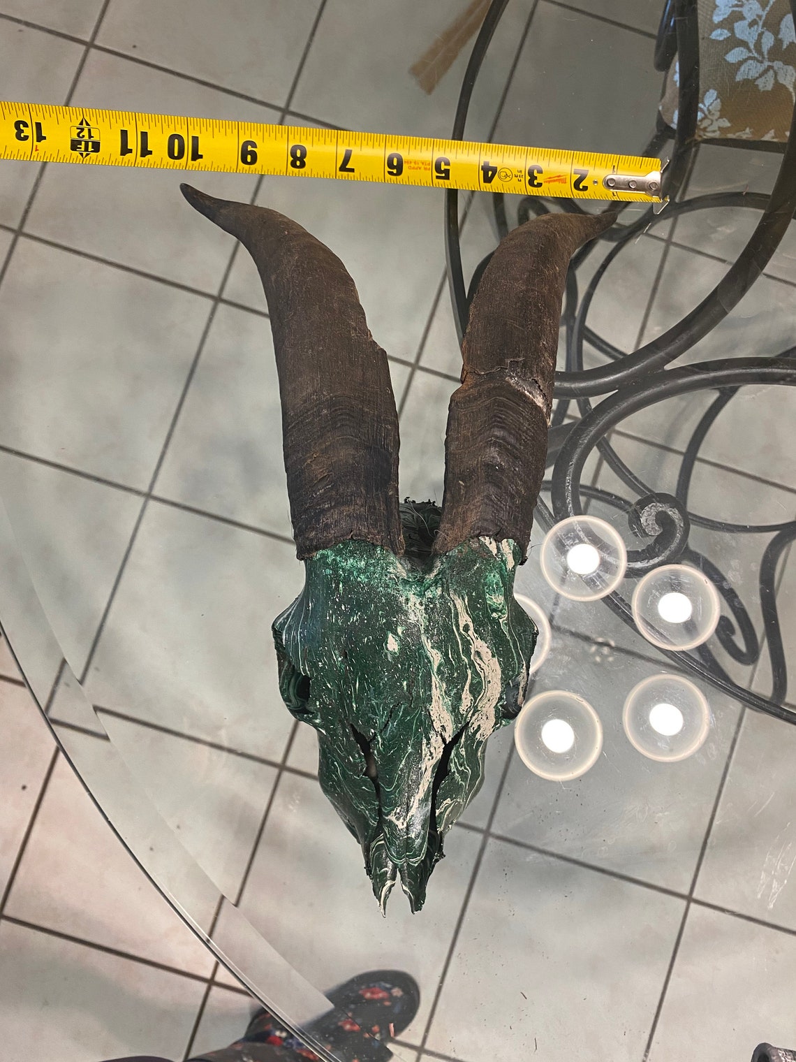 Goat Skull Wall Decor Hunting Taxidermy Hydro Dipped Etsy