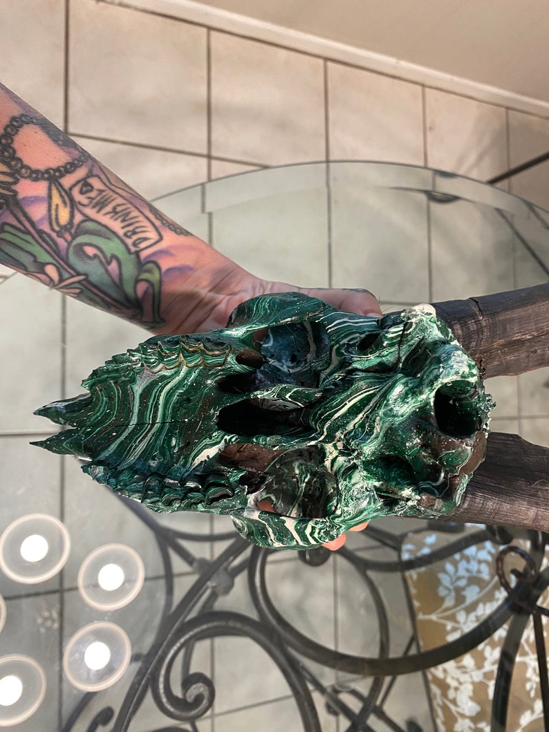 Goat Skull Wall Decor Hunting Taxidermy Hydro Dipped Etsy