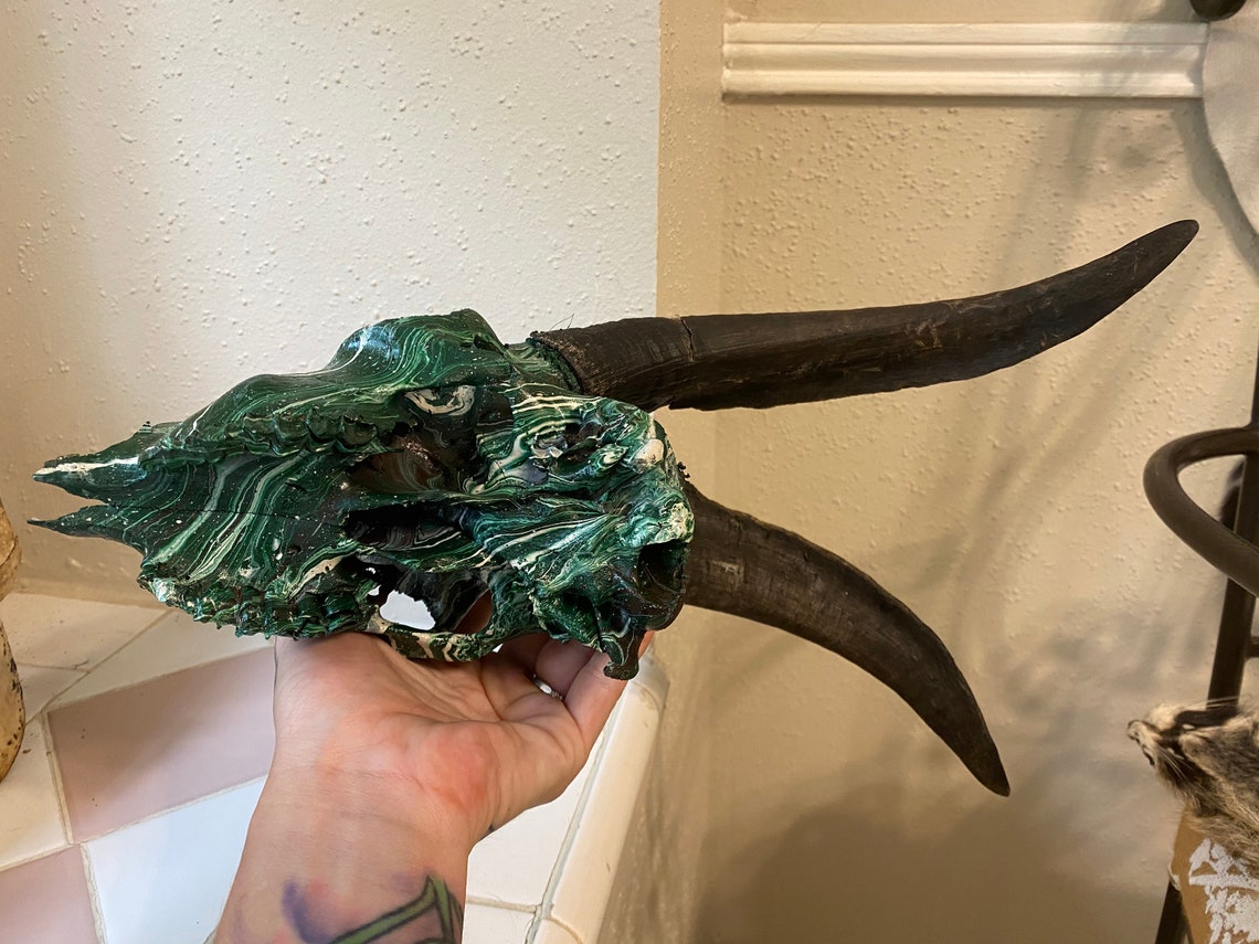 Goat Skull Wall Decor Hunting Taxidermy Hydro Dipped Etsy