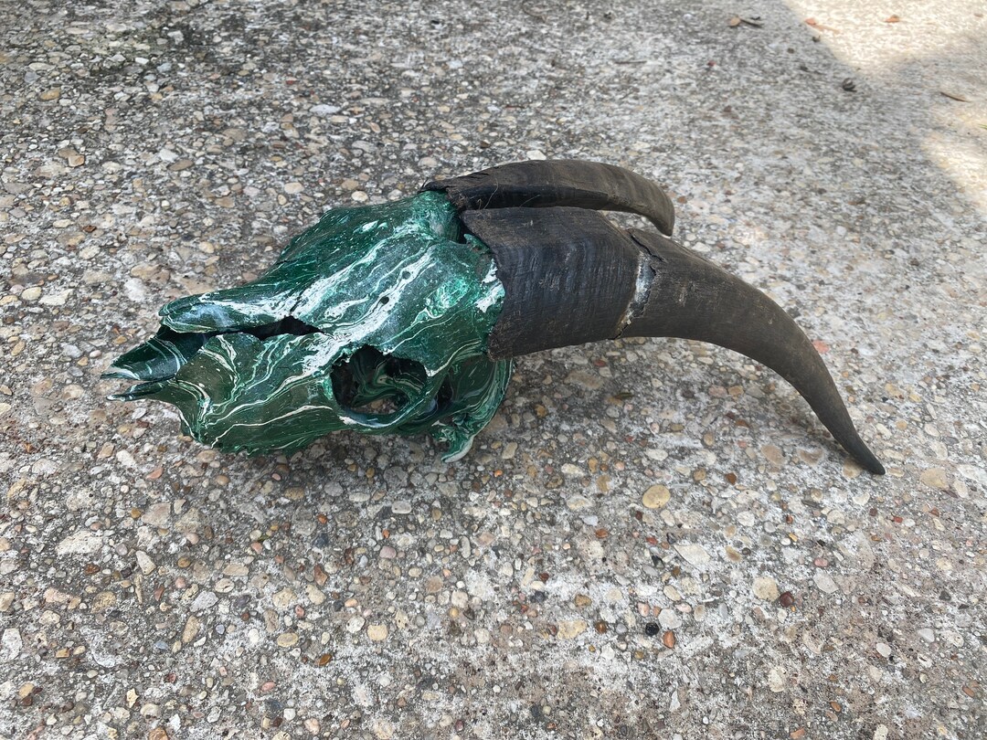 Goat Skull Wall Decor Hunting Taxidermy Hydro Dipped Etsy