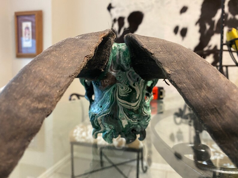 Goat Skull Wall Decor Hunting Taxidermy Hydro Dipped Etsy