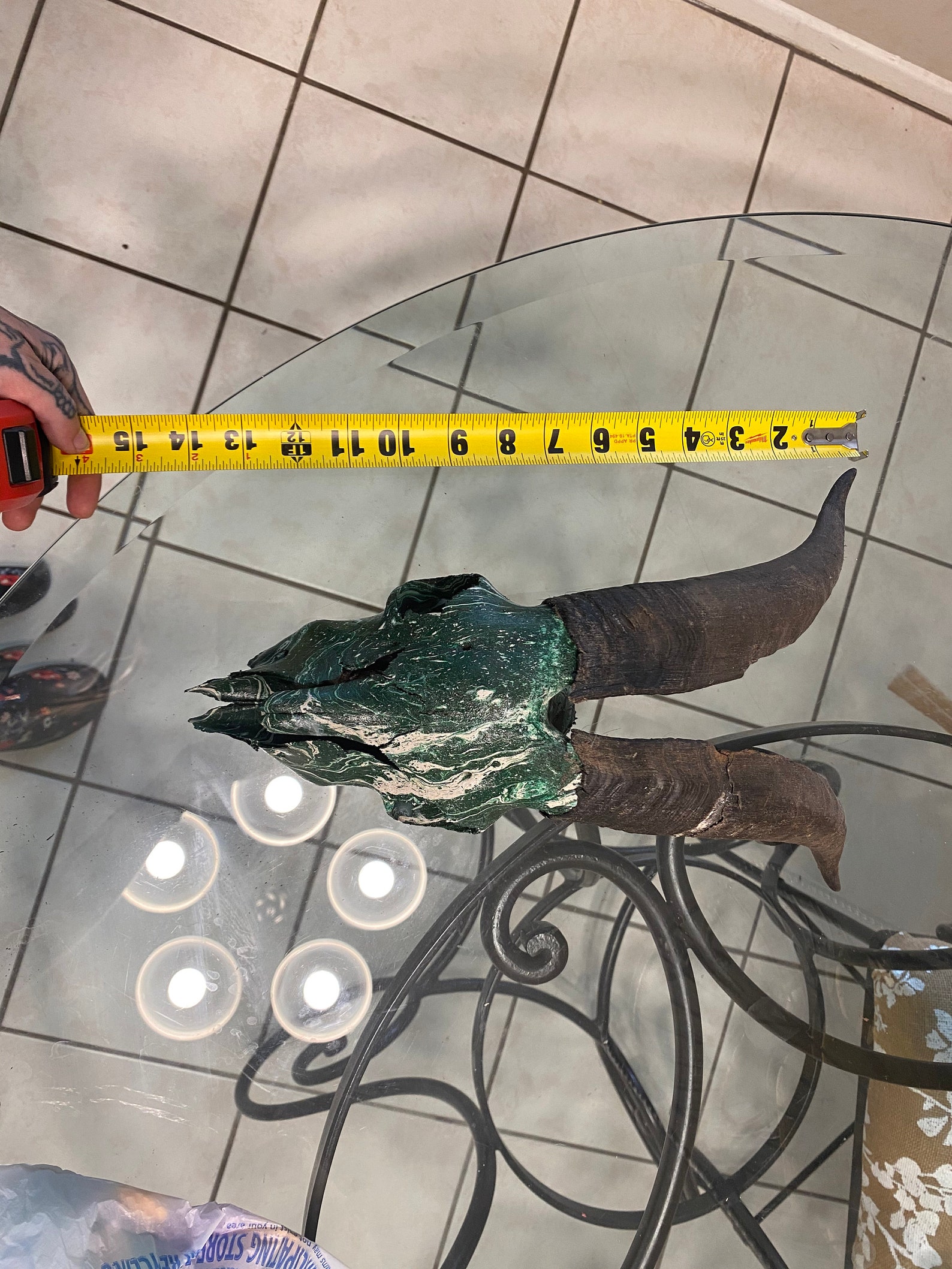 Goat Skull Wall Decor Hunting Taxidermy Hydro Dipped Etsy