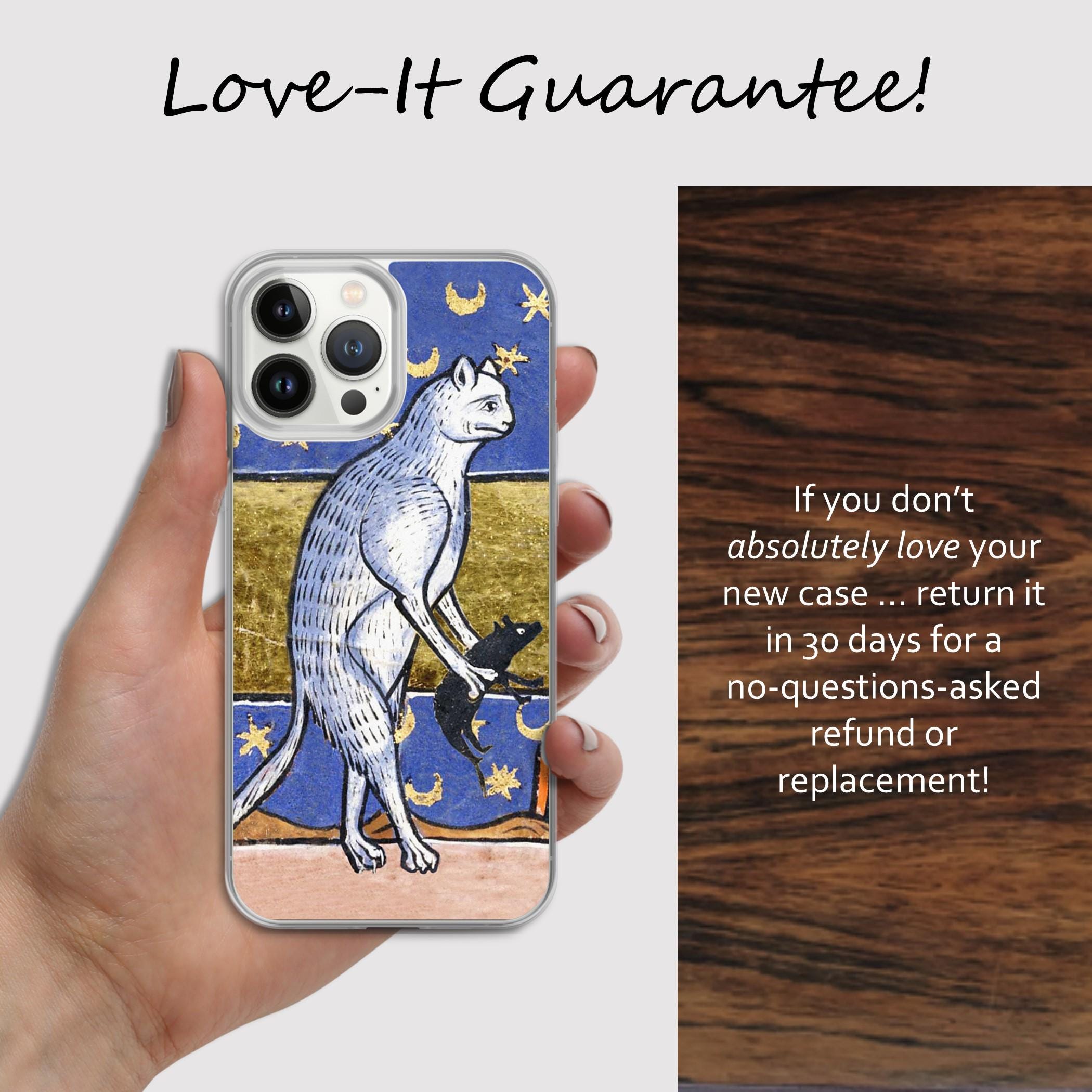 Funny Medieval IPhone Case with cat and Rat from Middle Ages Artist