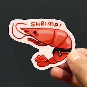 Puede incluir: Una pegatina troquelada con un camarón de dibujos animados con cuerpo rojo y un cinturón negro atado alrededor de la cintura. Sobre el camarón, la palabra SHRIMP! está impresa en una fuente roja, audaz y dibujada a mano. Borde blanco y fondo rosa.