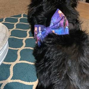 Frozen Bow Set Frozen Dog Bow Tie Frozen Cat Bow Tie Frozen Collar Bow Frozen Bow Olaf Bow Anna Dog Bow Tie Elsa Dog Bow Tie image 4