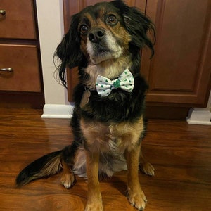 Tiny Shamrocks St Patrick's Day Dog Bow Tie St Patrick's Day Cat Bow Tie St Patrick's Day Pet Bow Tie image 2