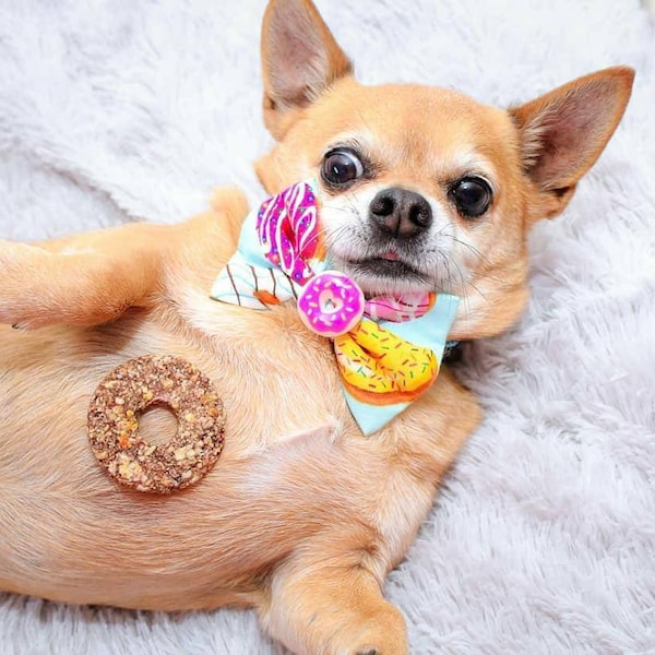 Donut Dog Bow Tie - Donut Cat Bow Tie - Donut Pet Bow Tie - Donut Collar Bow - Cute Dog Bow Tie - Cute Pet Bow Tie - "Donut Worry Be Happy"